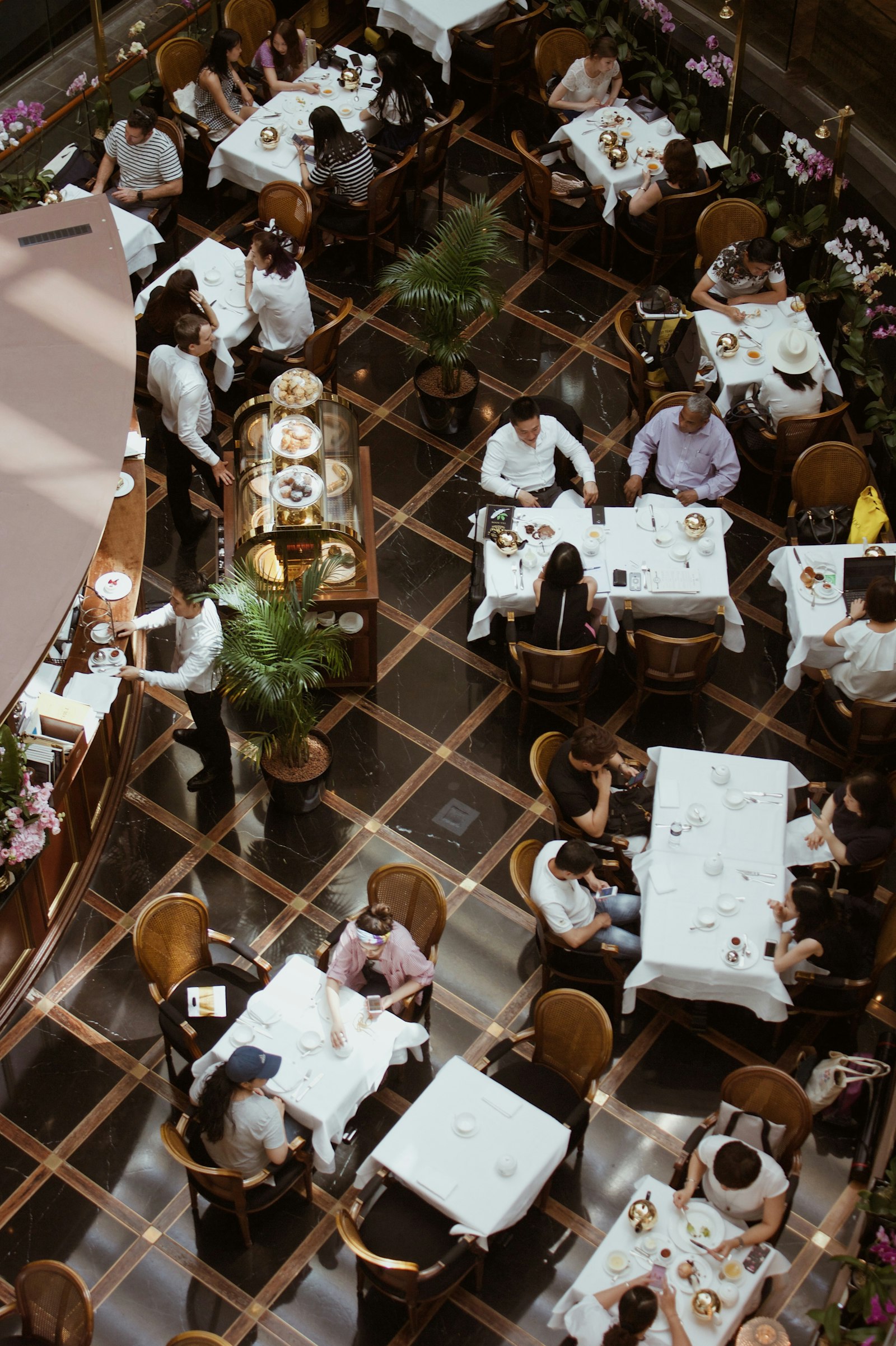 Plateau de fruits de mer et huîtres dans un restaurant de La Baule